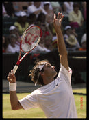 Wilson RF 01 PRO Classic Racket + Cover Bag