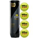 Wilson U.S. Open tennis balls (4 ball can)