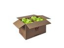 Wilson Triniti Club tennis balls (Box of 72)