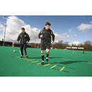 Precision 4 metre Adjustable Speed Ladder