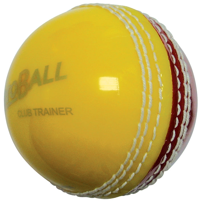 Aero Training cricket ball